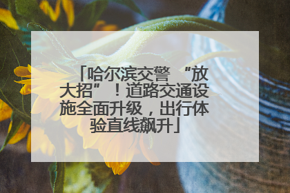 哈尔滨交警 “放大招”！道路交通设施全面升级，出行体验直线飙升