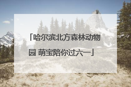 哈尔滨北方森林动物园 萌宝陪你过六一