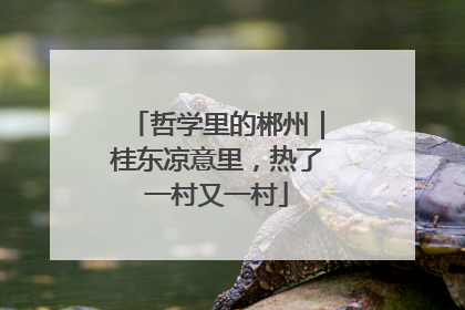 哲学里的郴州｜桂东凉意里，热了一村又一村