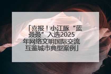 喜报！小江豚“蓝叒叒”入选2025年网络文明国际交流互鉴城市典型案例