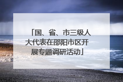 国、省、市三级人大代表在邵阳市区开展专题调研活动