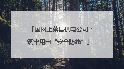 国网上蔡县供电公司：筑牢用电“安全防线”