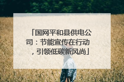 国网平和县供电公司：节能宣传在行动，引领低碳新风尚