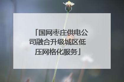 国网枣庄供电公司融合升级城区低压网格化服务