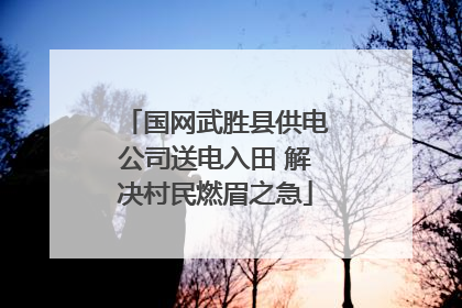 国网武胜县供电公司送电入田 解决村民燃眉之急