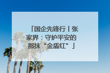 国企先锋行丨张家界：守护平安的那抹“金盾红”