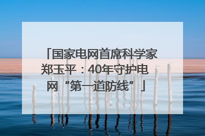 国家电网首席科学家郑玉平：40年守护电网“第一道防线”