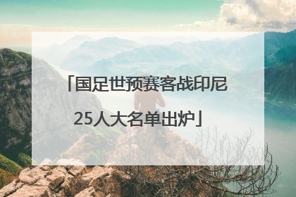 国足世预赛客战印尼25人大名单出炉