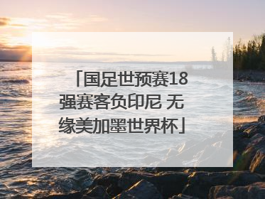 国足世预赛18强赛客负印尼 无缘美加墨世界杯