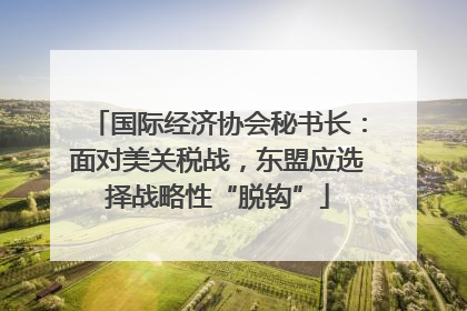 国际经济协会秘书长：面对美关税战，东盟应选择战略性“脱钩”