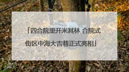 四合院里开米其林 合院式街区中海大吉巷正式亮相