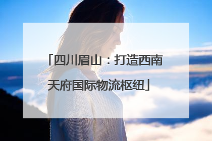四川眉山：打造西南天府国际物流枢纽