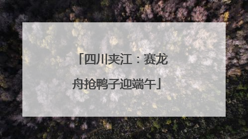 四川夹江：赛龙舟抢鸭子迎端午