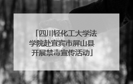 四川轻化工大学法学院赴宜宾市屏山县开展禁毒宣传活动