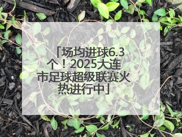 场均进球6.3个！2025大连市足球超级联赛火热进行中