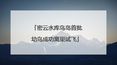 密云水库鸟岛首批幼鸟成功离巢试飞