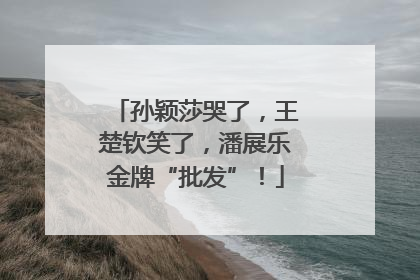 孙颖莎哭了，王楚钦笑了，潘展乐金牌“批发”！