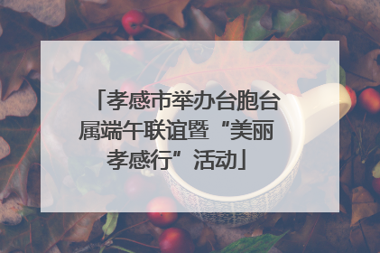 孝感市举办台胞台属端午联谊暨“美丽孝感行”活动