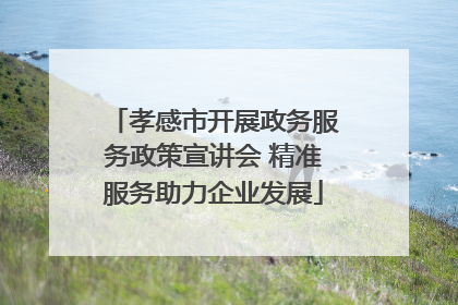 孝感市开展政务服务政策宣讲会 精准服务助力企业发展