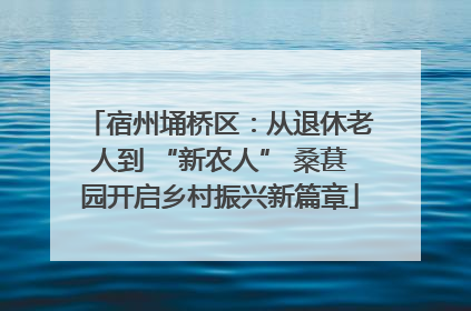 宿州埇桥区：从退休老人到 “新农人” 桑葚园开启乡村振兴新篇章