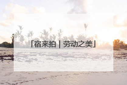 宿来拍｜劳动之美