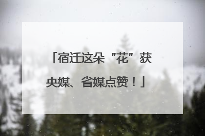 宿迁这朵“花”获央媒、省媒点赞！