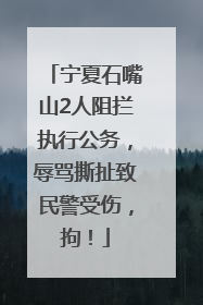 宁夏石嘴山2人阻拦执行公务，辱骂撕扯致民警受伤，拘！