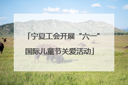 宁夏工会开展“六一”国际儿童节关爱活动
