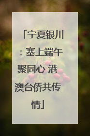 宁夏银川：塞上端午聚同心 港澳台侨共传情