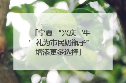 宁夏 “兴庆‘牛’礼为市民奶瓶子”增添更多选择