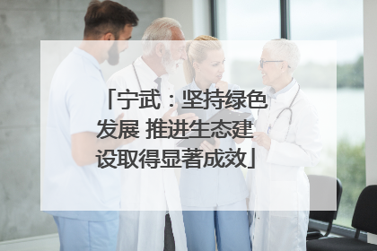 宁武：坚持绿色发展 推进生态建设取得显著成效