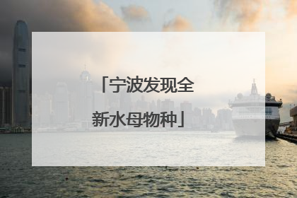 宁波发现全新水母物种