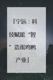 宁远：科技赋能“智”造蛋鸡鸭产业