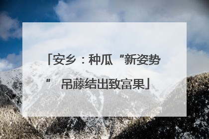 安乡：种瓜“新姿势” 吊藤结出致富果