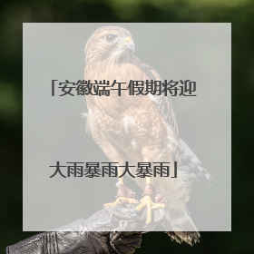 安徽端午假期将迎大雨暴雨大暴雨