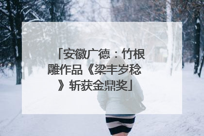 安徽广德：竹根雕作品《梁丰岁稔》斩获金鼎奖