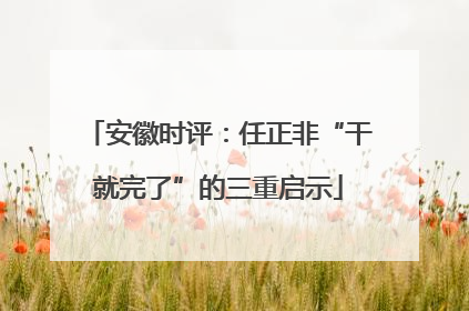 安徽时评：任正非“干就完了”的三重启示