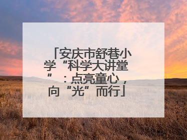 安庆市舒巷小学“科学大讲堂”：点亮童心，向“光”而行
