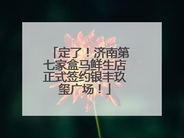 定了！济南第七家盒马鲜生店正式签约银丰玖玺广场！