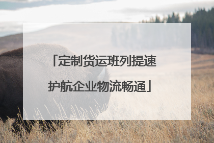 定制货运班列提速 护航企业物流畅通
