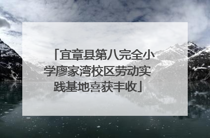 宜章县第八完全小学廖家湾校区劳动实践基地喜获丰收