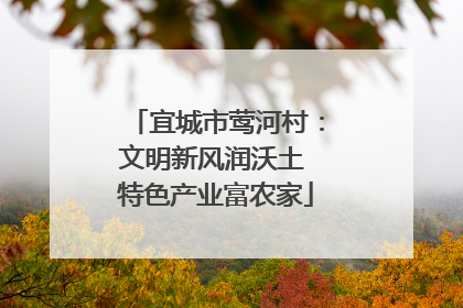 宜城市莺河村：文明新风润沃土 特色产业富农家