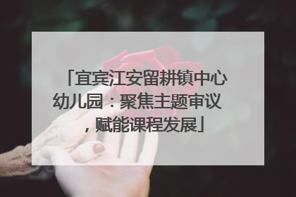 宜宾江安留耕镇中心幼儿园：聚焦主题审议，赋能课程发展