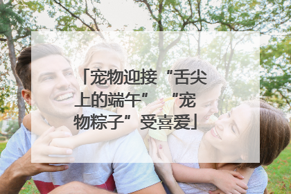 宠物迎接“舌尖上的端午” “宠物粽子”受喜爱