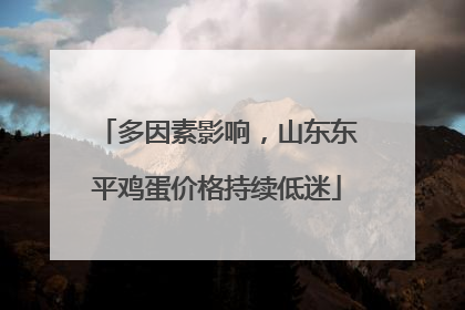 多因素影响，山东东平鸡蛋价格持续低迷