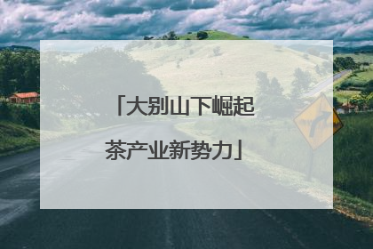 大别山下崛起茶产业新势力