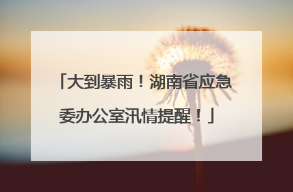 大到暴雨！湖南省应急委办公室汛情提醒！