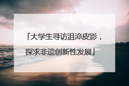大学生寻访沮漳皮影，探求非遗创新性发展