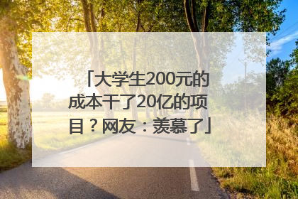 大学生200元的成本干了20亿的项目？网友：羡慕了