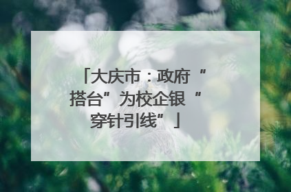 大庆市：政府“搭台”为校企银“穿针引线”